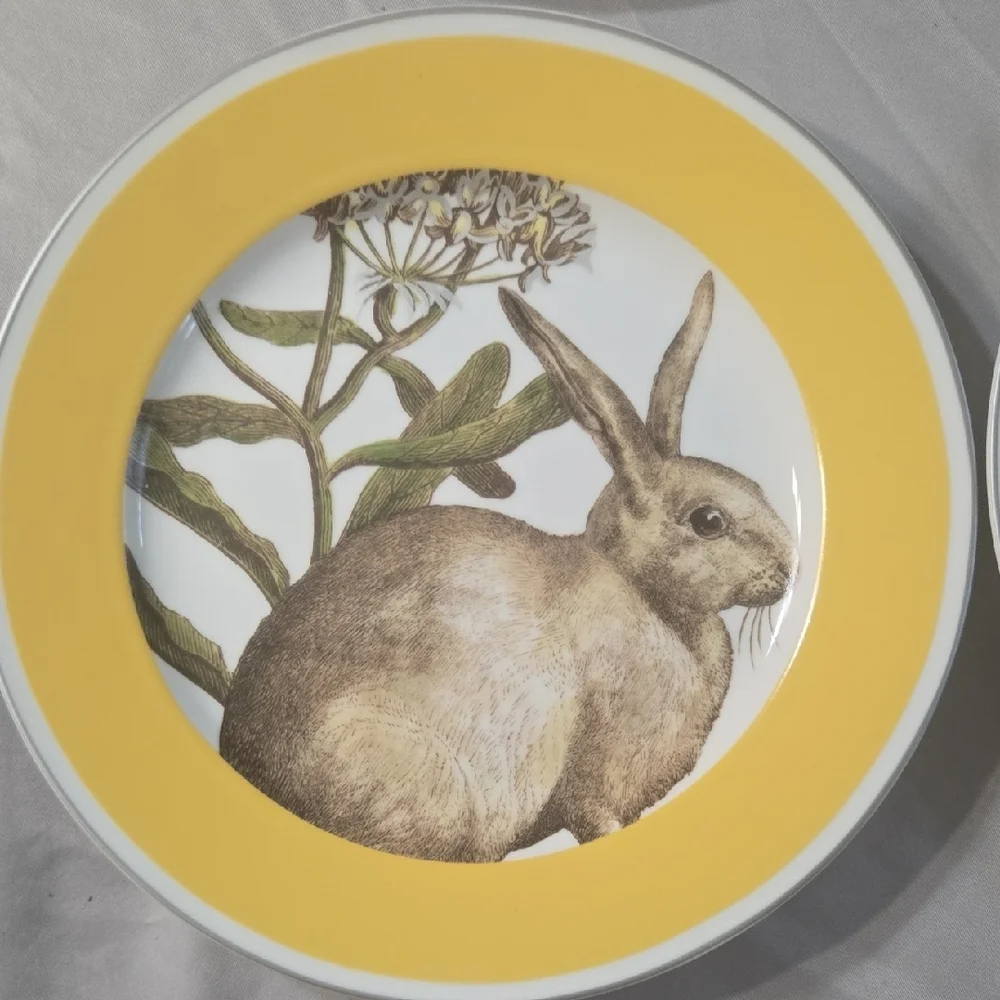 Williams Sonoma Yellow Dinnerware Plate